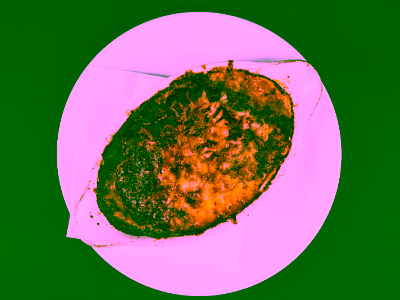 best-lasagne-in-livingston